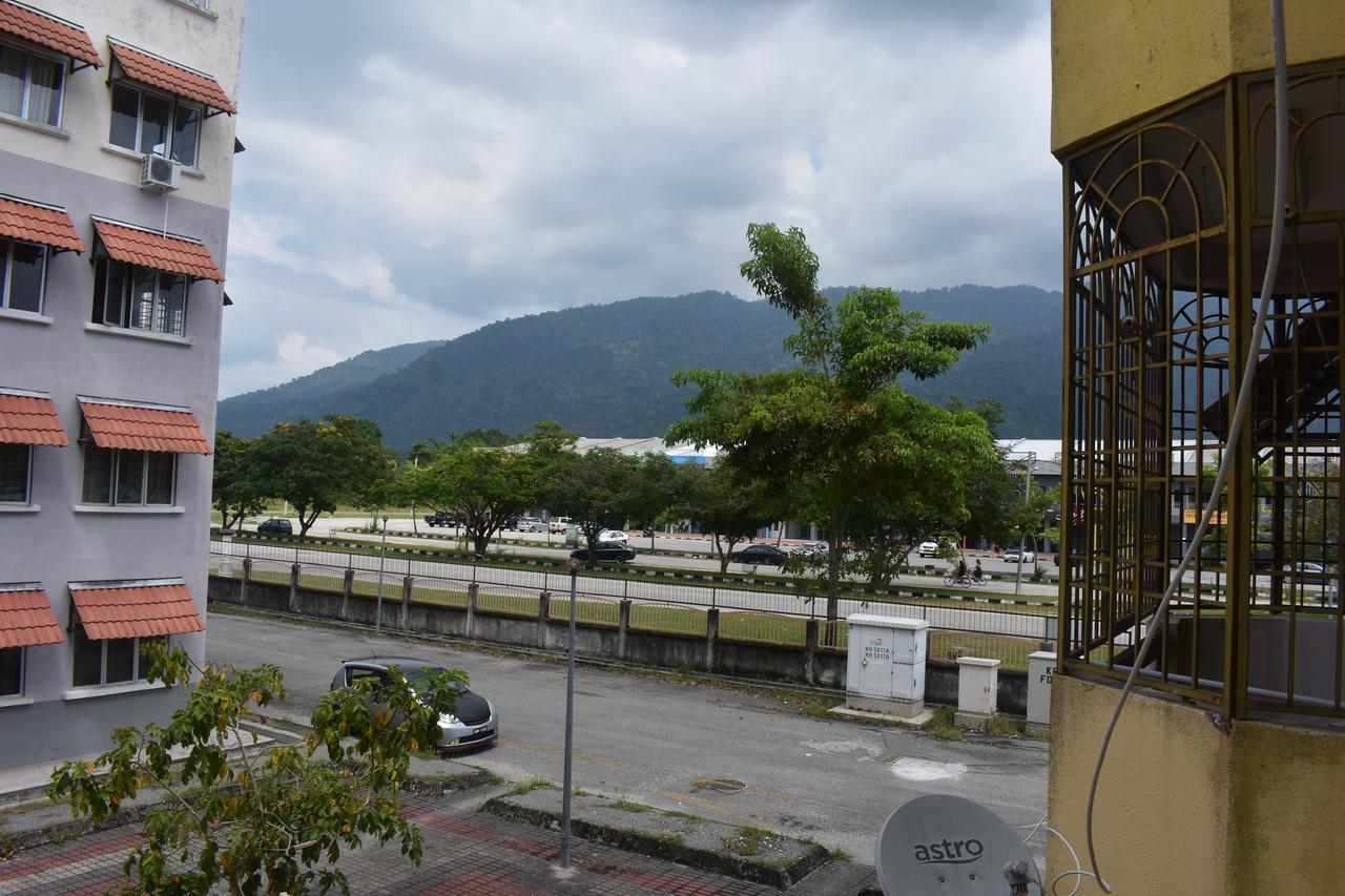 Kelly Cozy * Kampar
